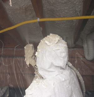 South Bend IN crawl space insulation